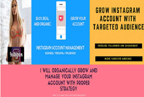 I will organically grow and manage your instagram account