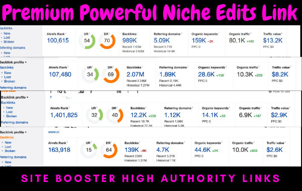 I will outreach premium niche edits link on high da pa authority site