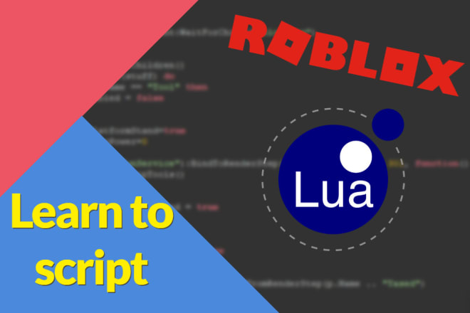 I will personally teach you roblox scripting