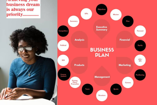 I will prepare a professional business plan with the financial plan