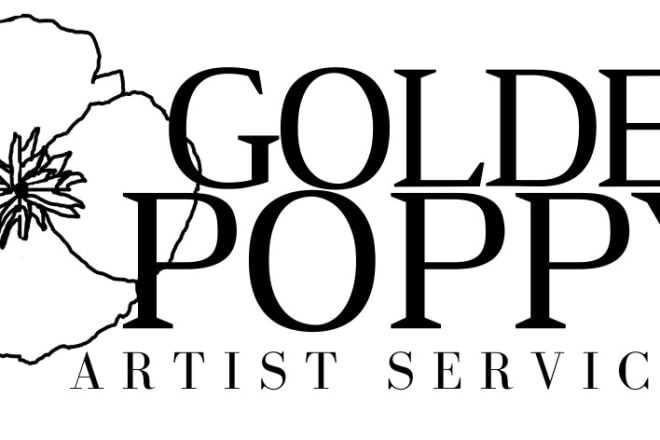 I will provide artist management and marketing