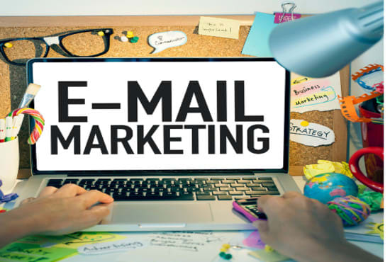 I will provide email copywriting for your email marketing campaigns