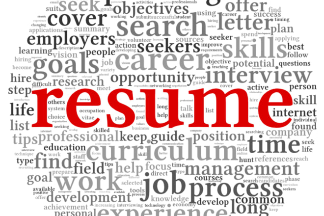 I will provide expert level resume revisions and rewrites