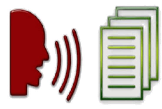 I will provide fast accurate video or audio transcription