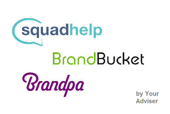I will provide high quality brandbucket brandpa or squadhelp listed domains