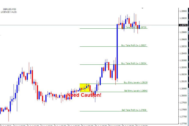 I will provide london day trading indicator system