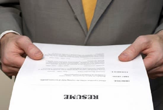 I will provide professional CV writing services