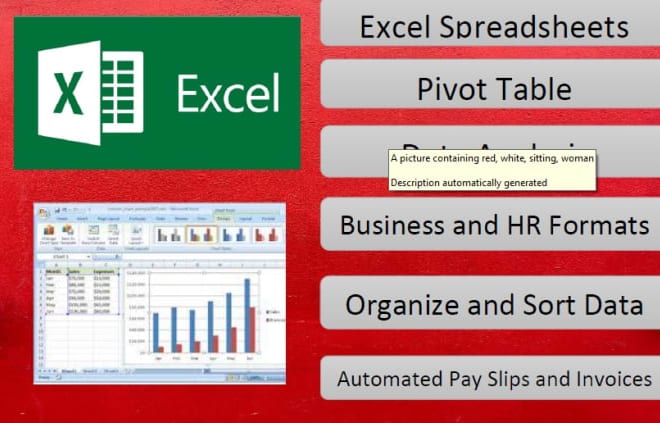 I will provide professional ms excel, word, powerpoint service