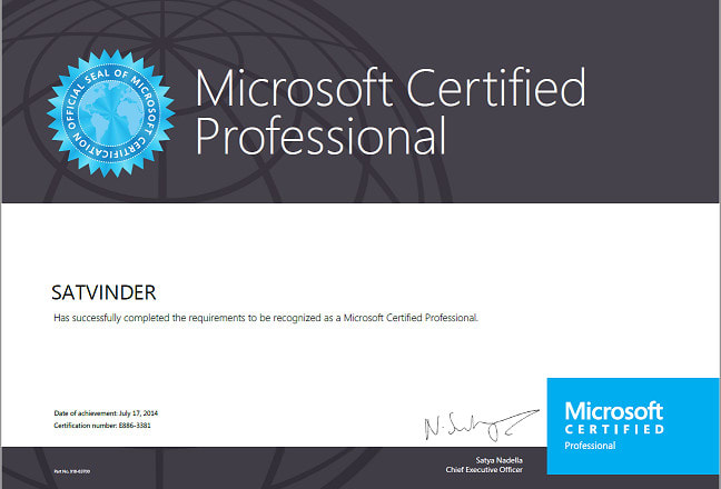 I will provide remote IT support services