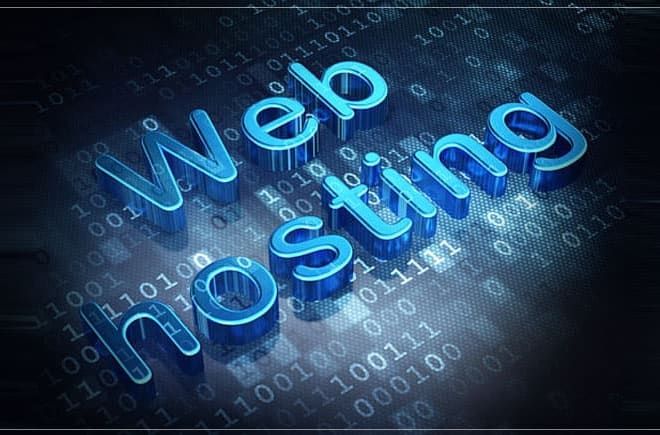 I will provide web hosting for your business or personal website