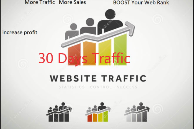 I will provided real 30days human visitors web traffic