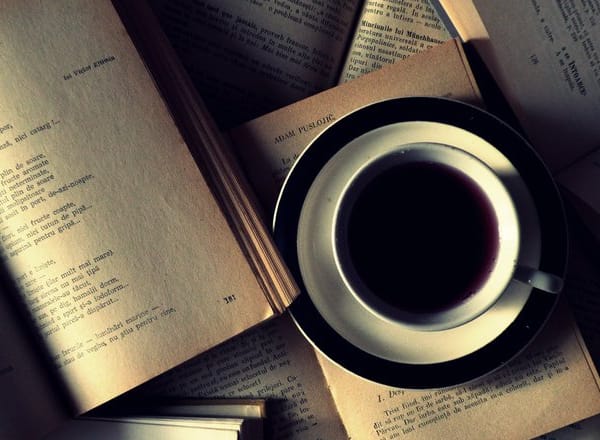 I will read your scripts or stories and provide coverage