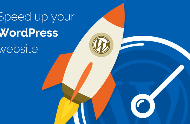 I will remove unused CSS from wordpress websites and make them fast