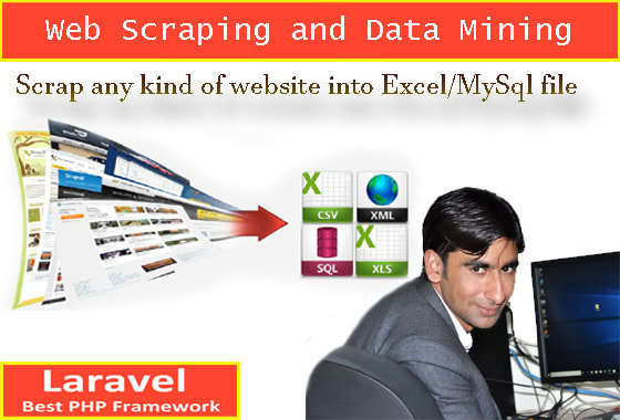 I will scrap any website data into any format