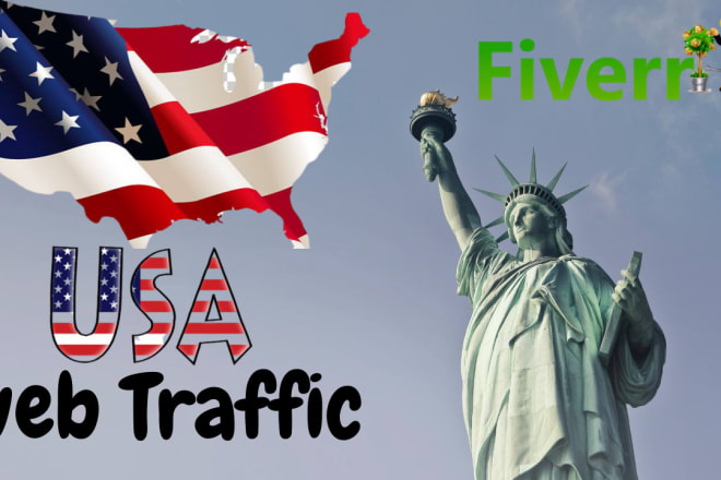 I will send USA traffic with a long visit for website online store