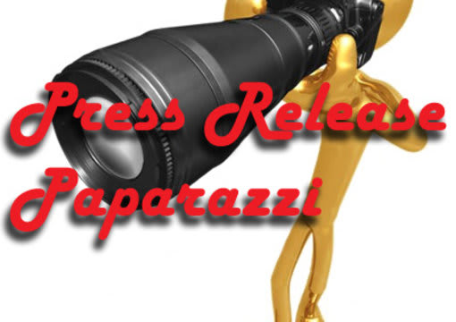 I will submit your ten press release to top 10 PR sites