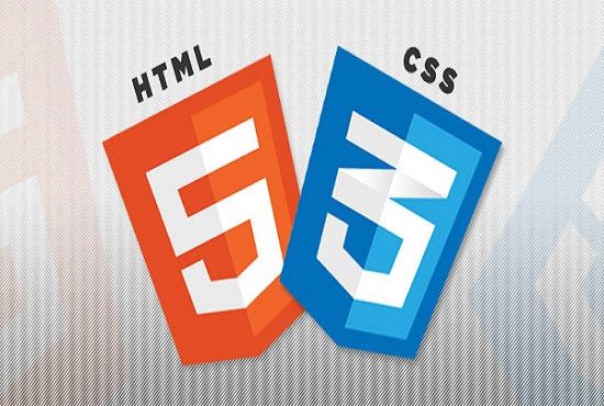 I will top rated web developer