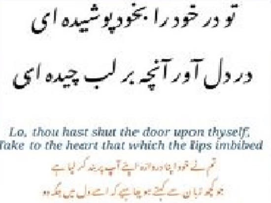 I will translate and do typing stuff from english to urdu and vice versa