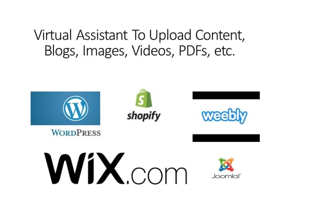 I will upload content, product, video,etc in your website