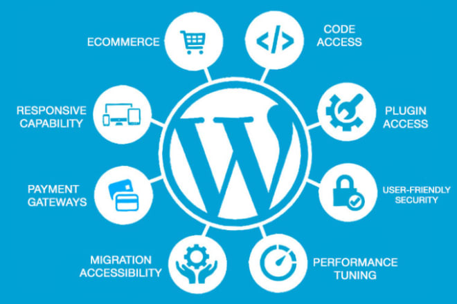 I will web builder website builder web designer