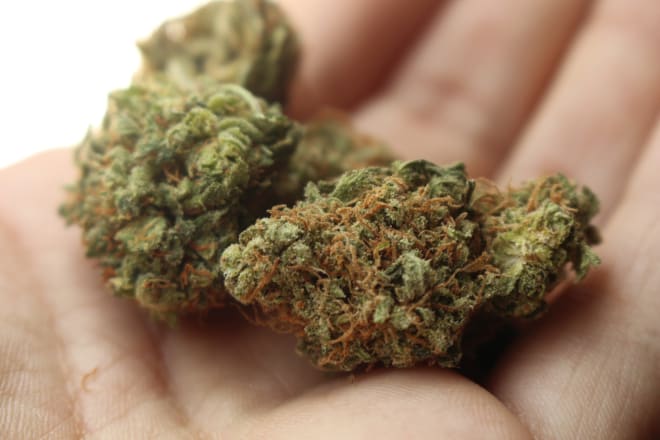 I will write cbd content for you