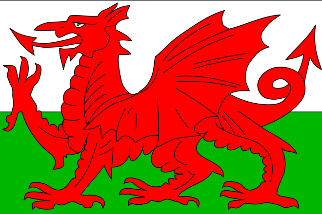 I will write high quality english to welsh translation