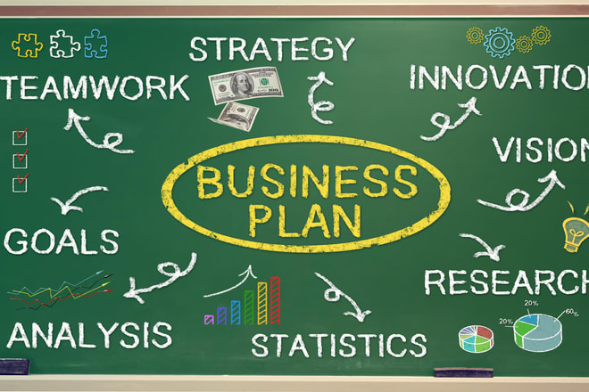I will write you a professional business plan and marketing plan