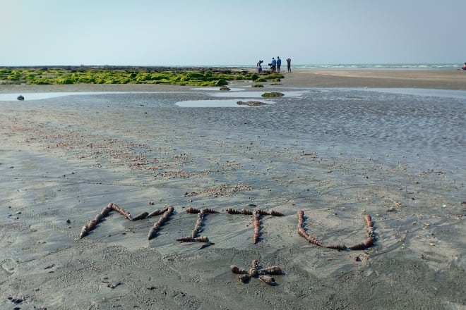 I will write your name or quote on the sea beach by snail and seashore