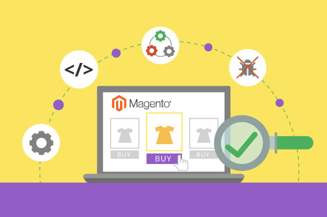 I will your magento expert developer