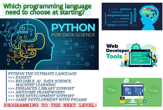 I will be your online programming mentor