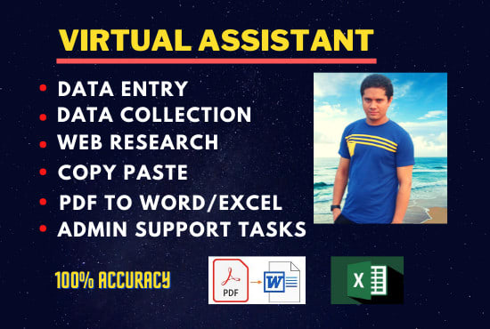 I will be your virtual assistant for data entry and web research