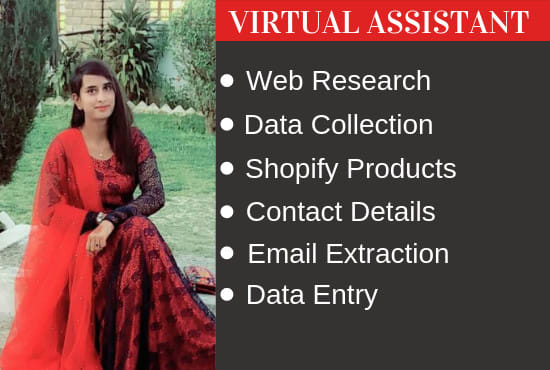 I will be your virtual assistant for data entry and web research