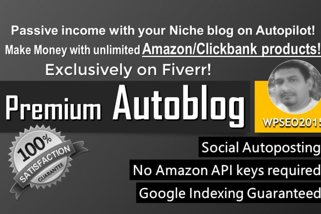 I will build responsive SEO friendly any niche wordpress autoblog