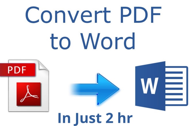 I will convert 32page pdf to word or image to text