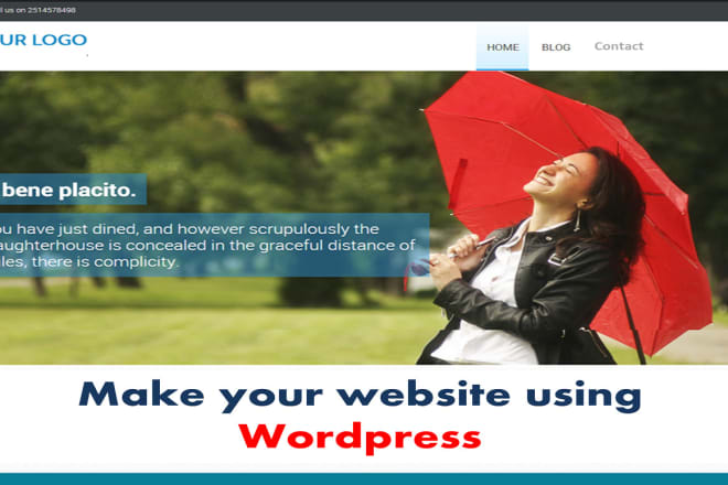 I will create a professional website for your business