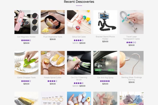I will create aliexpress alidropship wordpress dropshipping store