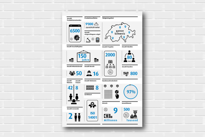 I will create professional infographic design