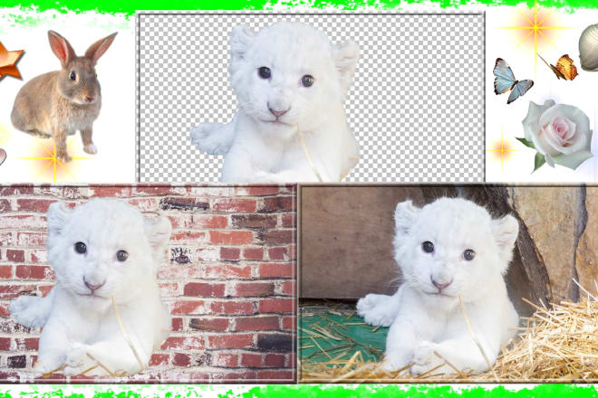 I will delete image background very fast