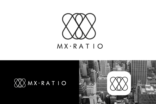 I will design a logo and a full graphic identity