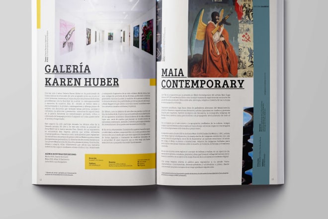 I will design your magazine, brochure or flyer