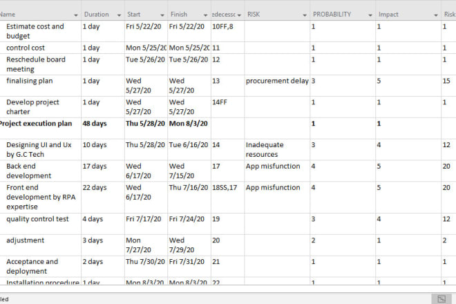 I will develop a professional project schedule with its metric analysis