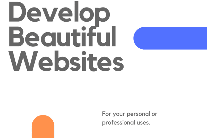 I will develop a website for your professional or personal use