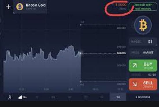 I will develop cryptocurrency wallet app, exchange website and app