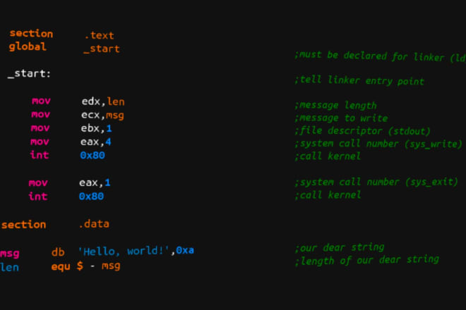 I will do assembly 8086, mips and arm programming tasks and project