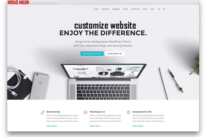 I will do coustomize any kind of website,landingpage