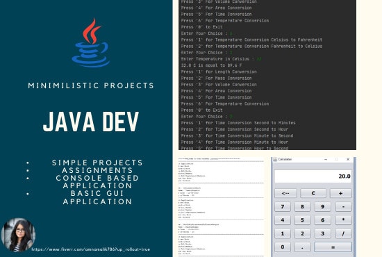 I will do cplusplus and java basic to intermediate projects