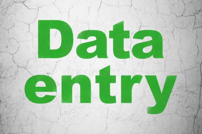 I will do excel data entry, web research,copy paste, typing