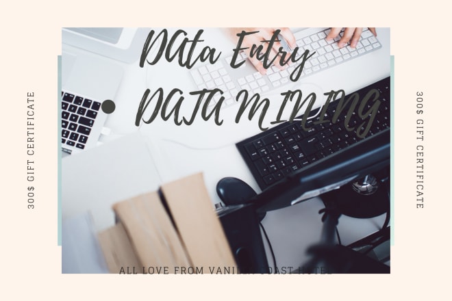 I will do excel data entry,copy past,typing,data entry
