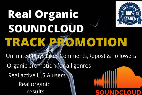 I will do organic soundcloud promotion for tracks to US audience