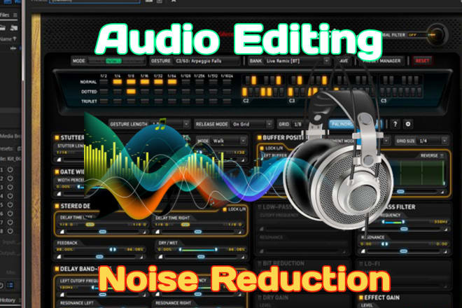 I will do professional audio editing and noise reduction